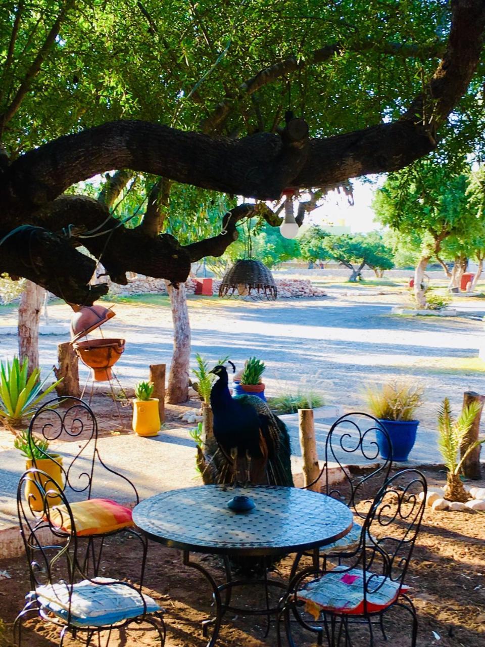 Camping & Hotel Le Calme Essaouira Exterior photo